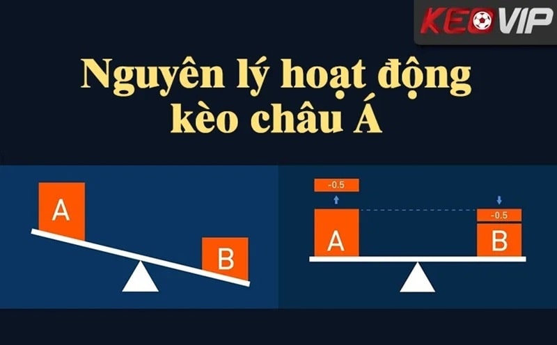 Minh họa nguyên lý chấp tỷ số trong kèo châu Á
